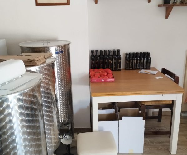 WhatsApp Image 2025-07-05 at 1.07.32 PM