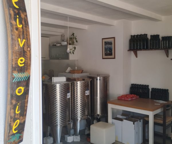 WhatsApp Image 2025-07-05 at 1.09.11 PM